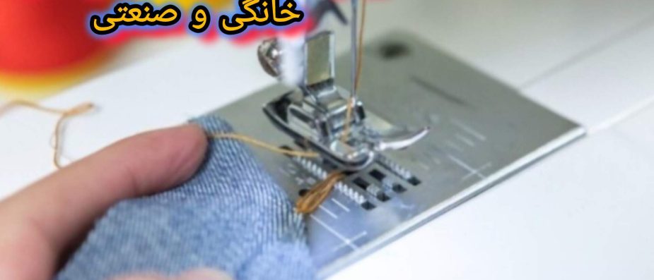 1000040006 1000040006